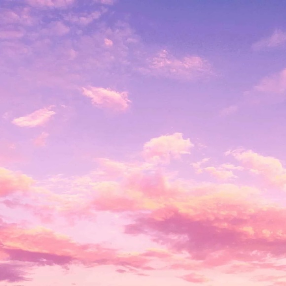 Meet your Posher, Lizzy - Picture 1 of 1